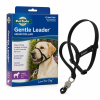 PetSafe Gentle