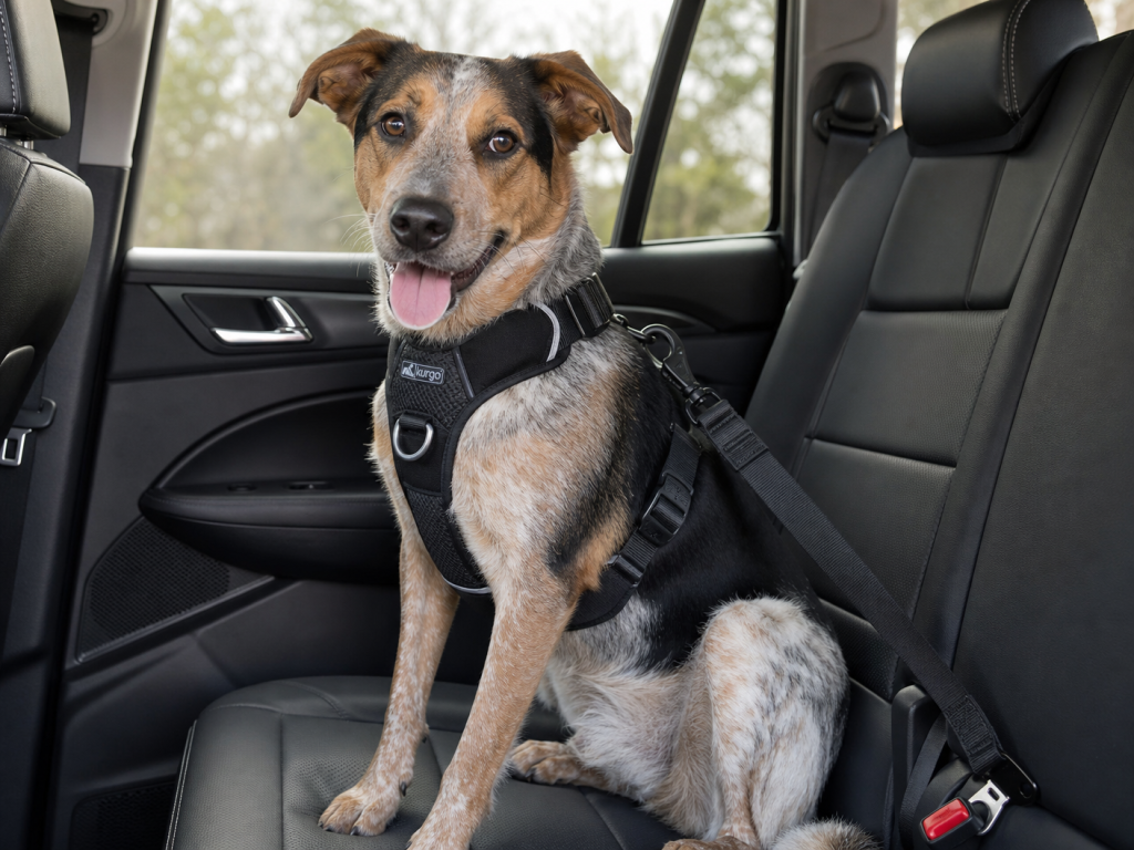 Kurgo Tru-Fit Smart Dog Harness