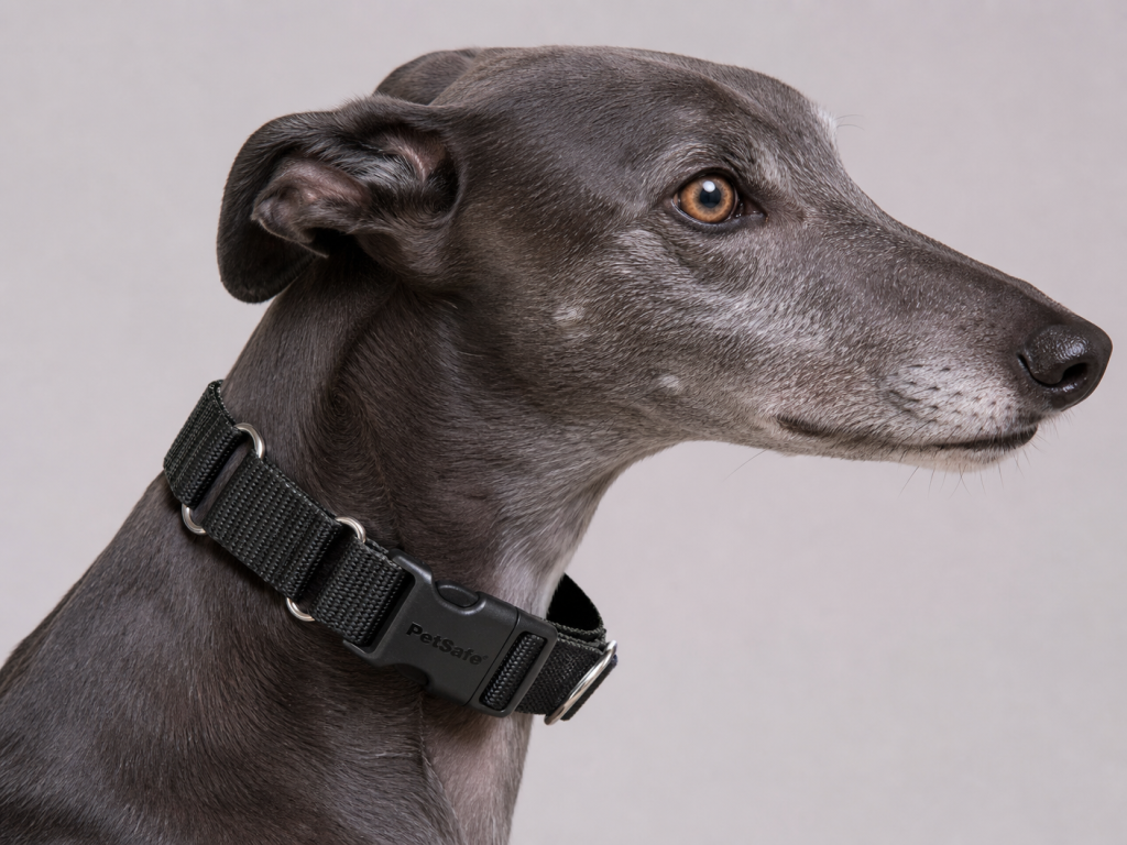 PetSafe Martingale Dog Collar
