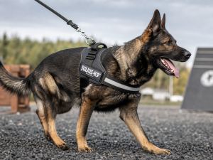 Julius-K9 IDC Powerharness
