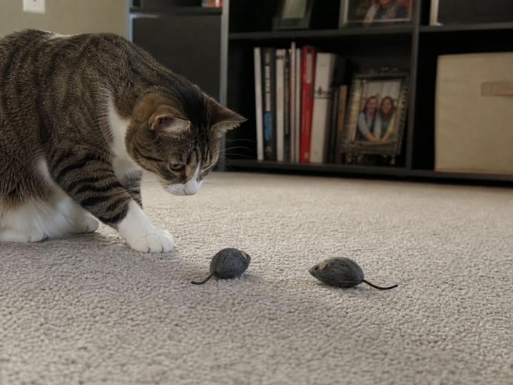 OurPets Play-N-Squeak Twice the Mice Cat Toy