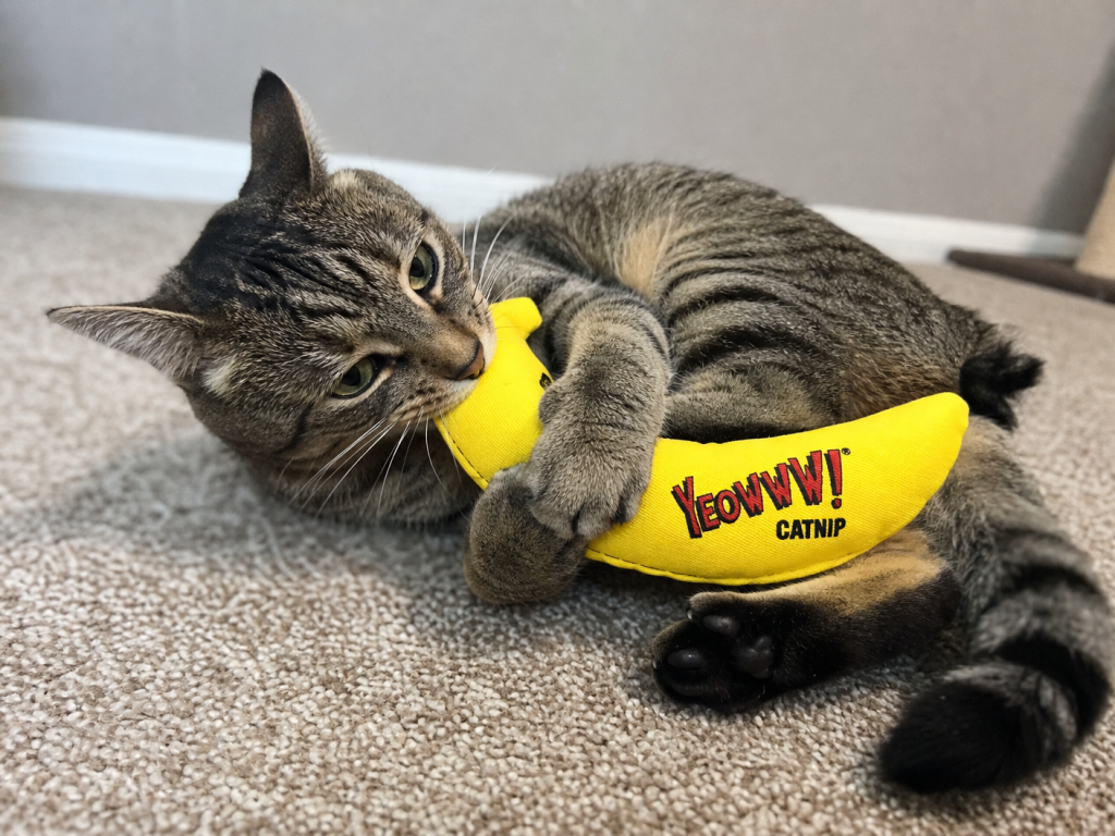 Yeowww! Catnip Banana Cat Toy