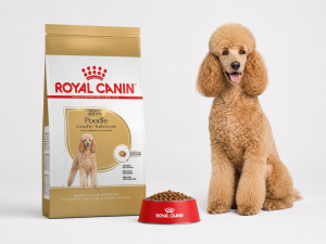 Royal Canin Breed Health Nutrition Dog Food