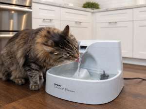 PetSafe Drinkwell Platinum Pet Fountain