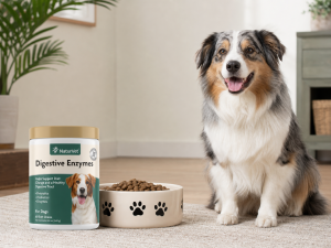 NaturVet Digestive Enzymes Dog Supplement