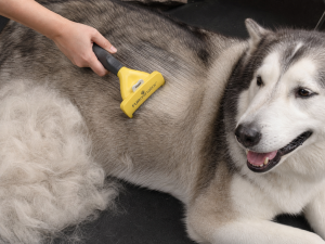 FURminator Undercoat Deshedding Tool for Dogs